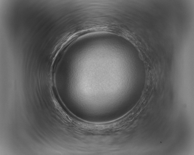 X0000057580002200509161114