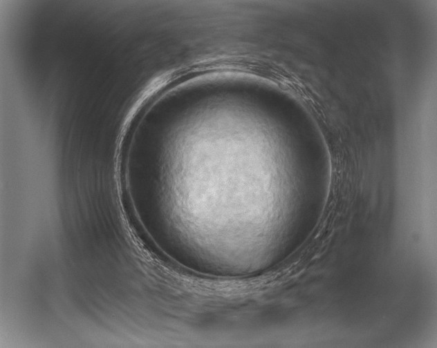 X0000057580006200509161114