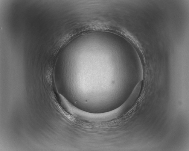 X0000057580009200509161114