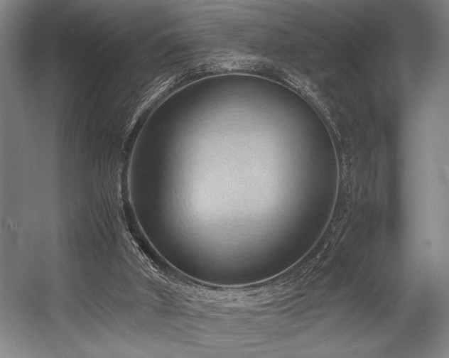 X0000057580010200509161114