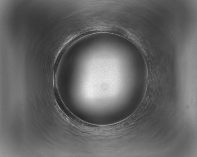 X0000057580011200509161114