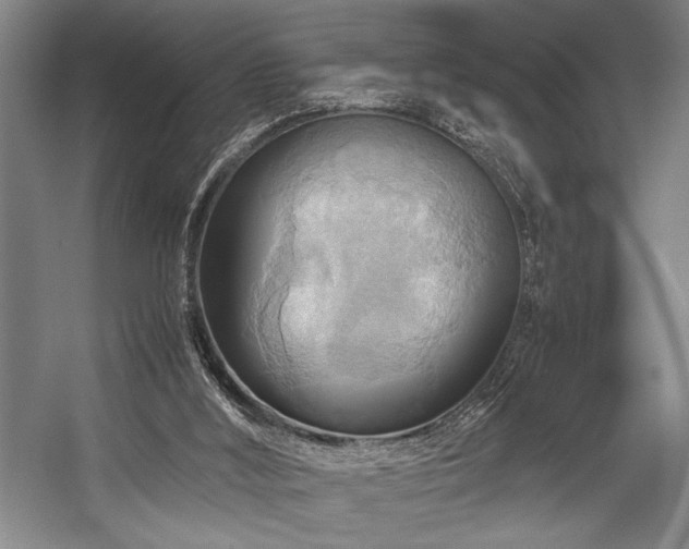 X0000057580012200509161114