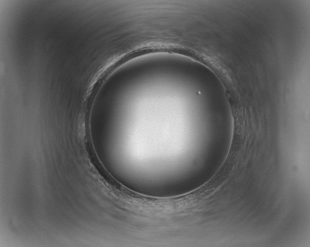 X0000057580015200509161114