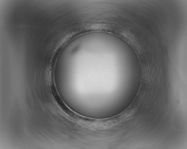 X0000057580016200509161114