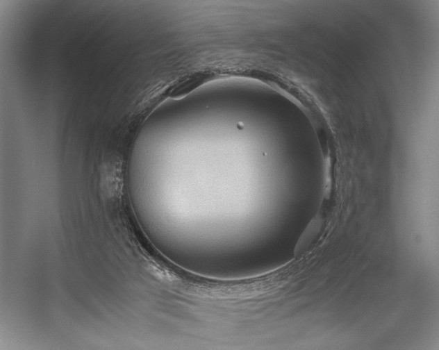 X0000057580017200509161114