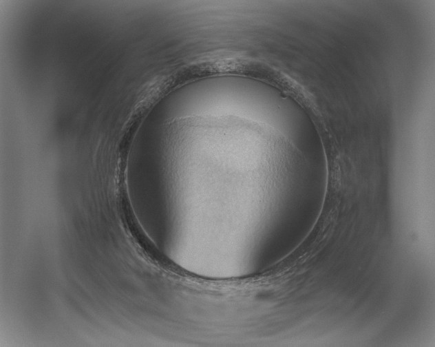 X0000057580018200509161114