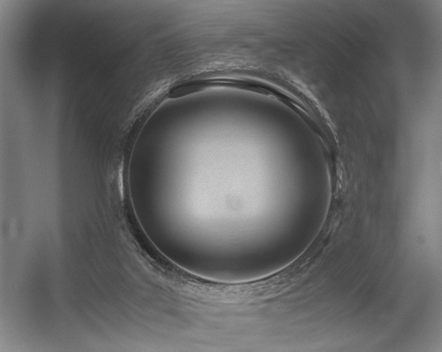 X0000057580019200509161114