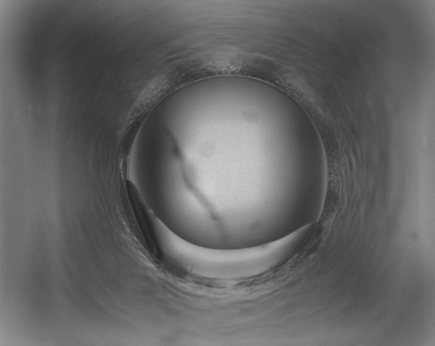 X0000057580023200509161114