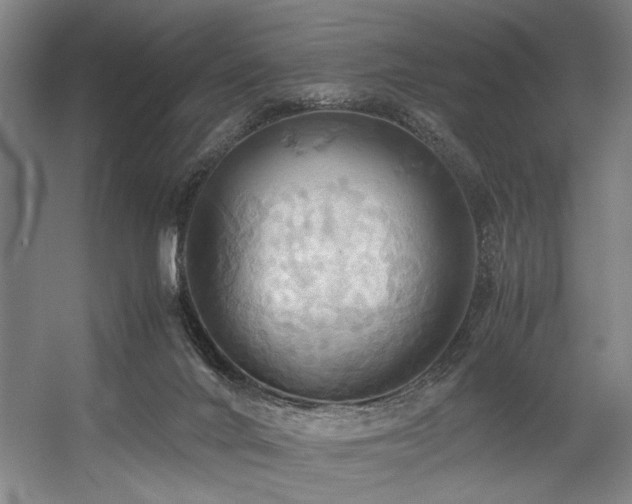X0000057580024200509161114