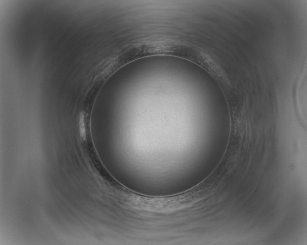 X0000057580026200509161114