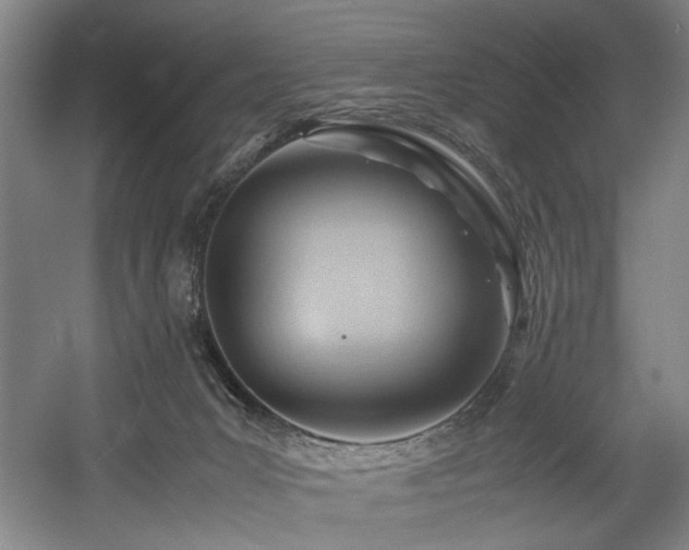 X0000057580031200509161113