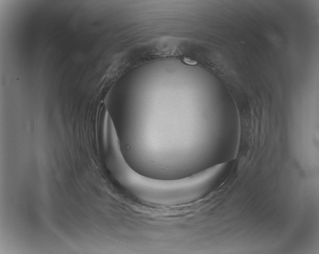 X0000057580035200509161113