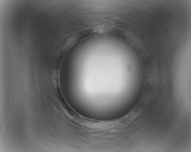 X0000057580036200509161113
