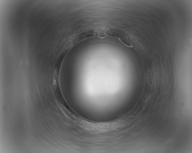 X0000057580038200509161113