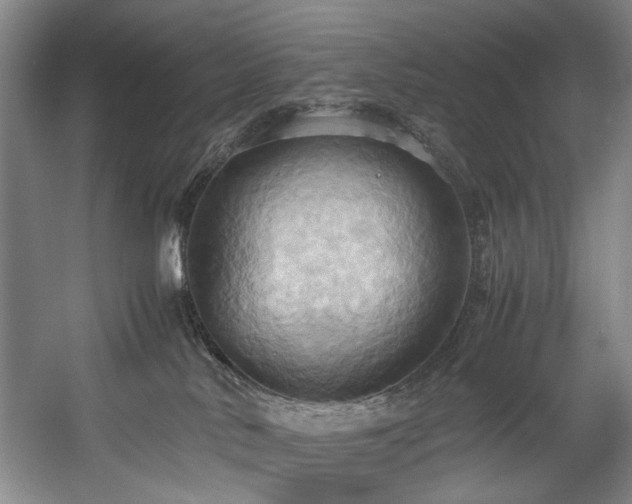 X0000057580042200509161113