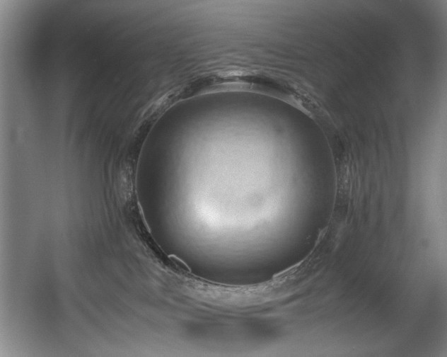 X0000057580043200509161113