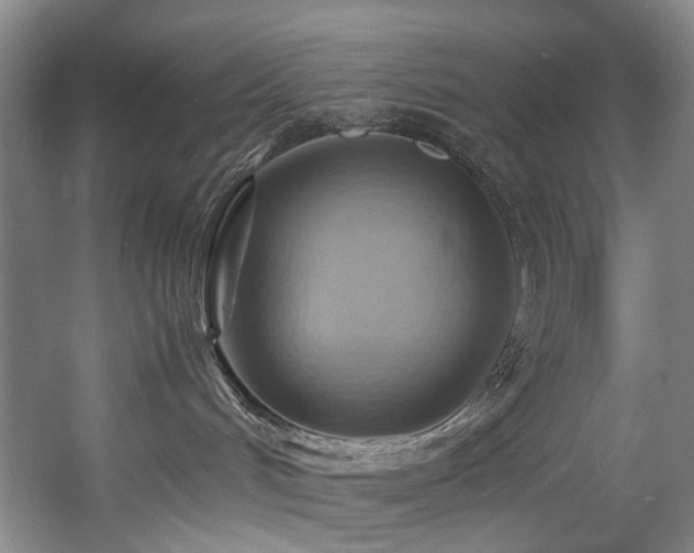 X0000057580048200509161113