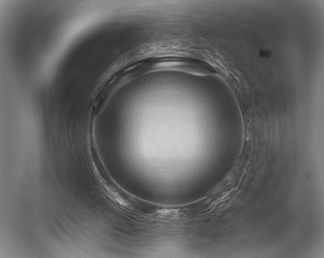 X0000057580052200509161112