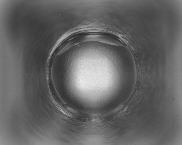 X0000057580056200509161112