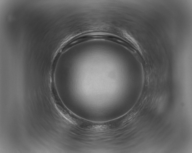 X0000057580059200509161113