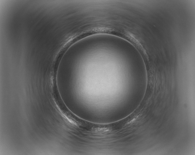X0000057580063200509161113