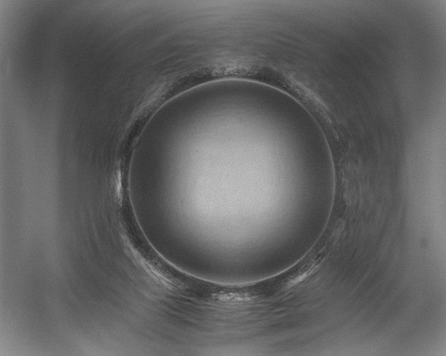 X0000057580067200509161113