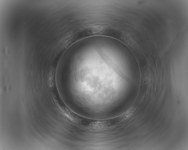 X0000057580082200509161113