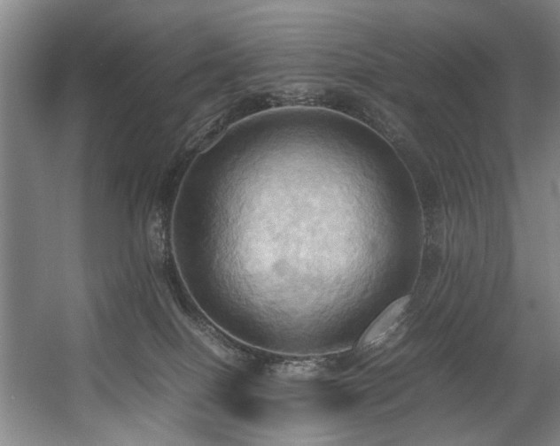 X0000057580086200509161113