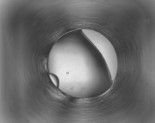 X0000057580094200509161113