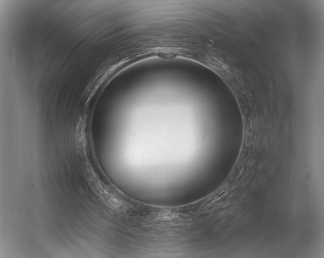 X0000057580098200509161112