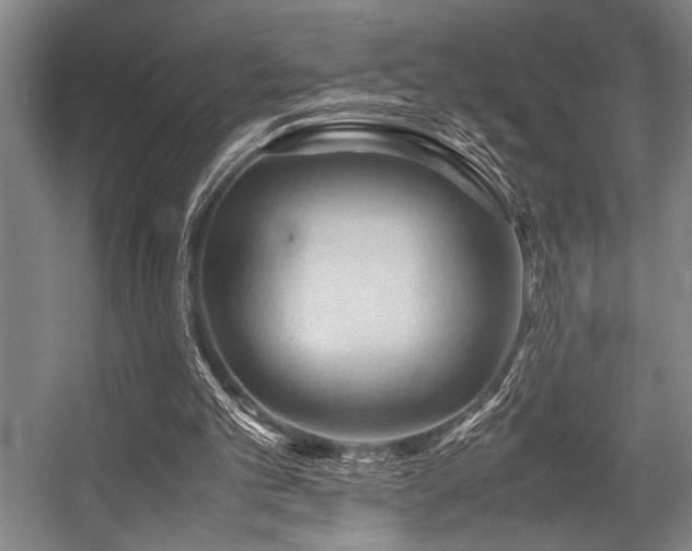 X0000057580101200509161112