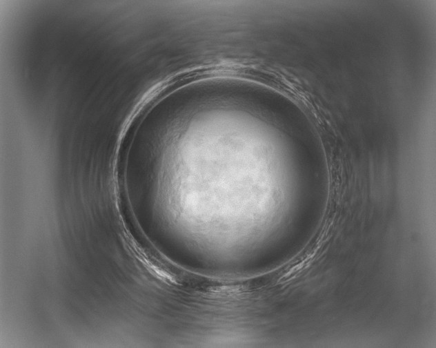 X0000057580102200509161112