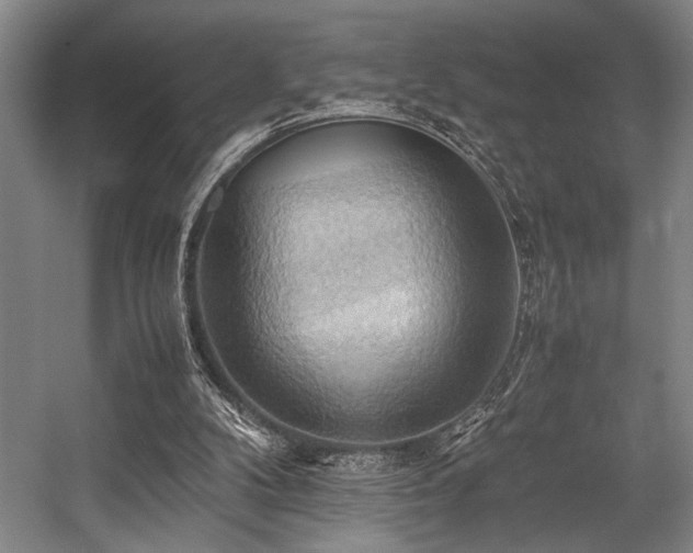 X0000057580104200509161112