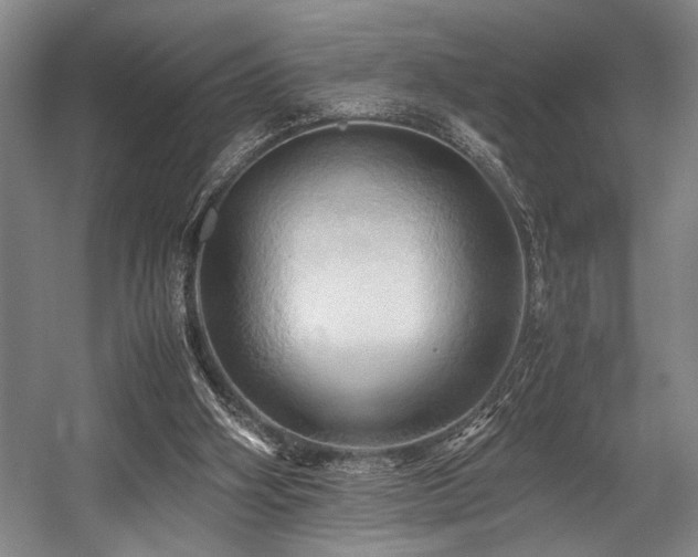 X0000057580106200509161112