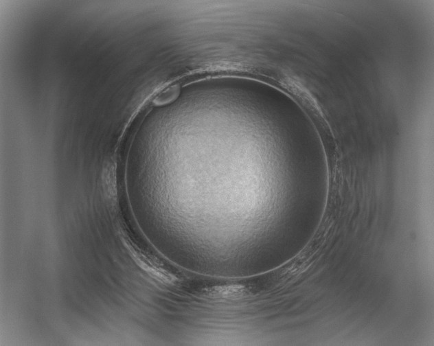 X0000057580108200509161112