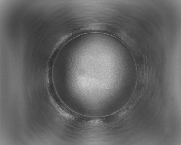 X0000057580112200509161112