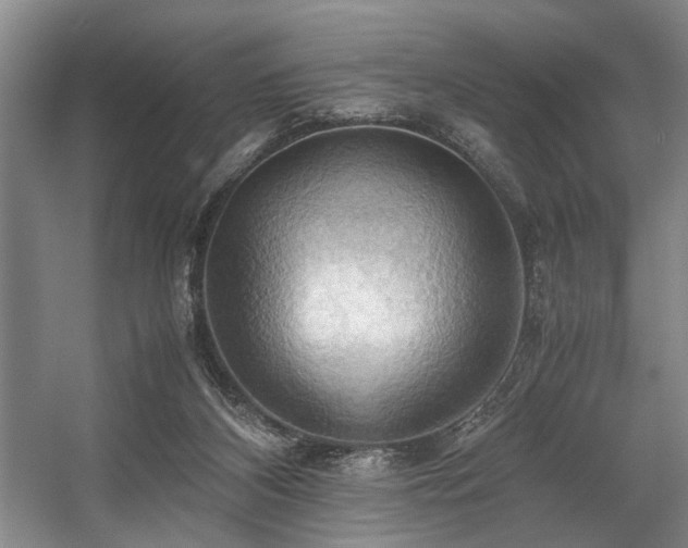 X0000057580116200509161112