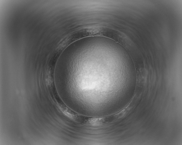 X0000057580136200509161112