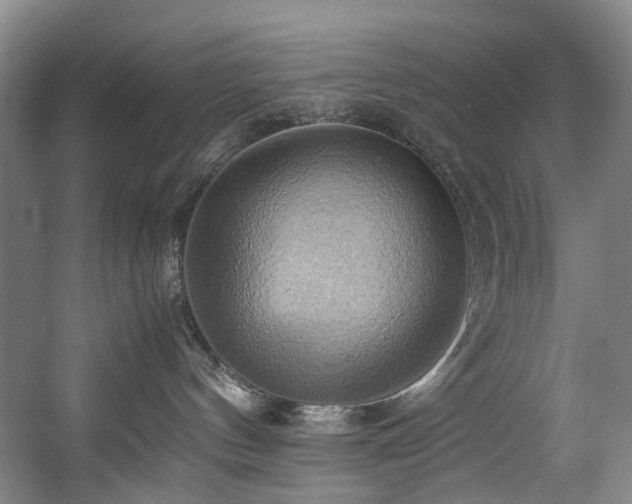 X0000057580144200509161112