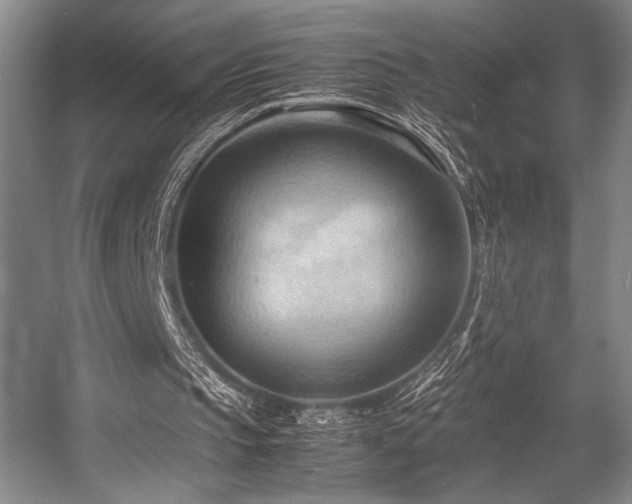 X0000057580145200509161111
