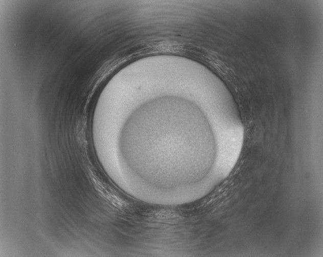 X0000057580146200509161111