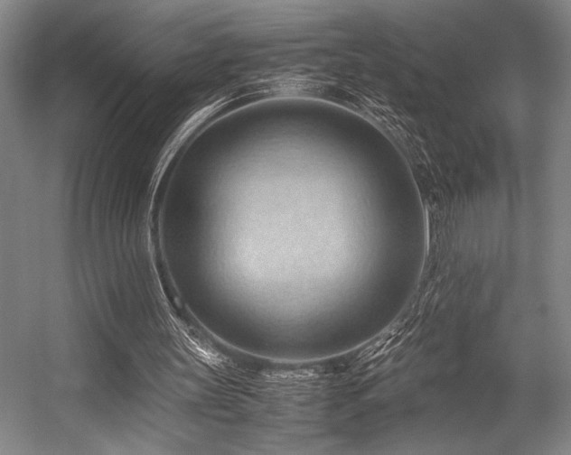 X0000057580147200509161111