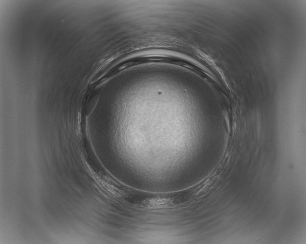 X0000057580154200509161111