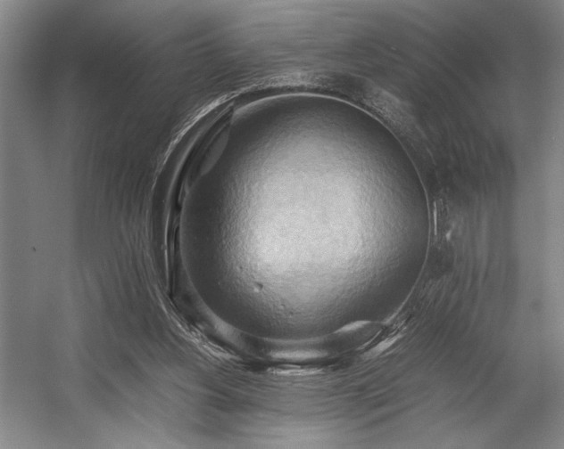 X0000057580156200509161111