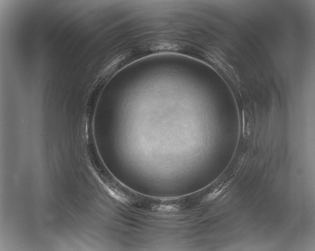X0000057580157200509161111