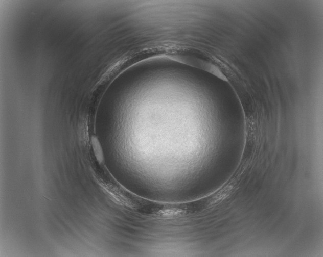 X0000057580158200509161111