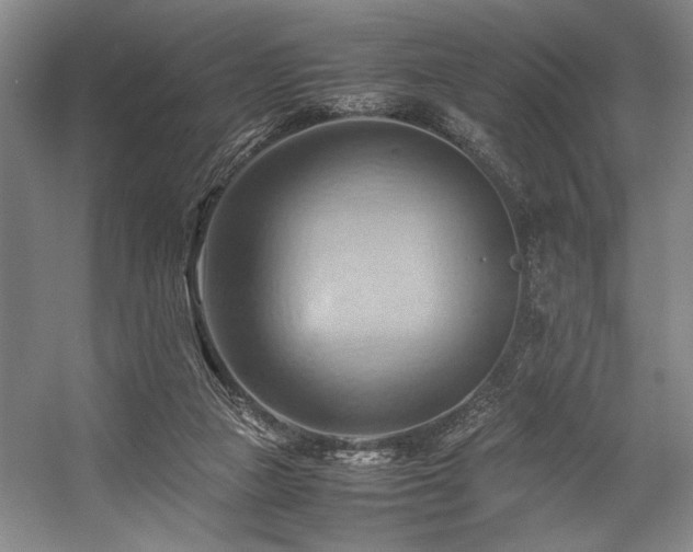 X0000057580161200509161111