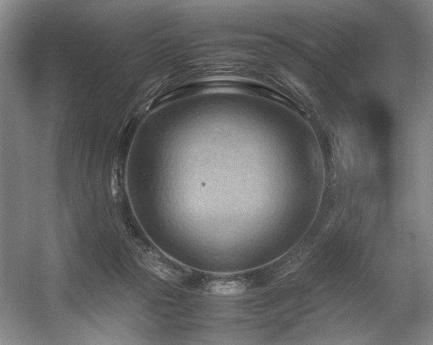 X0000057580169200509161111