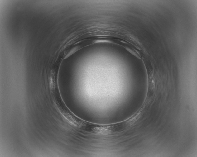 X0000057580170200509161111