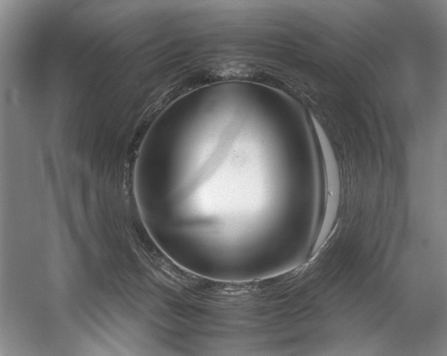 X0000057580175200509161111